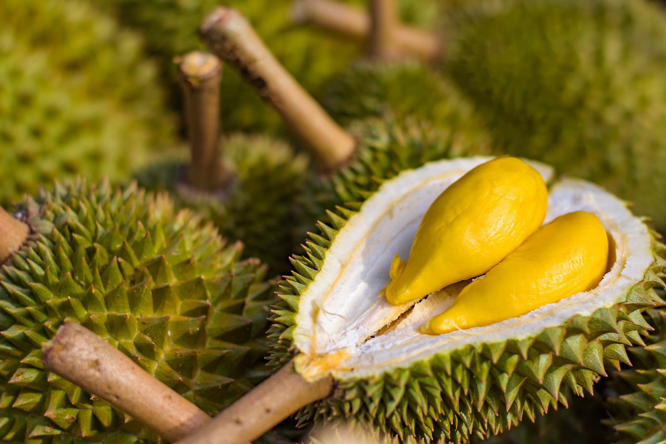 Choose The Best Durian Home Delivery Singapore